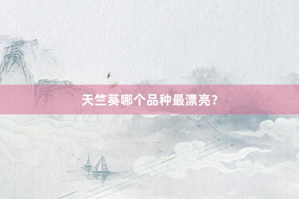 天竺葵哪个品种最漂亮？